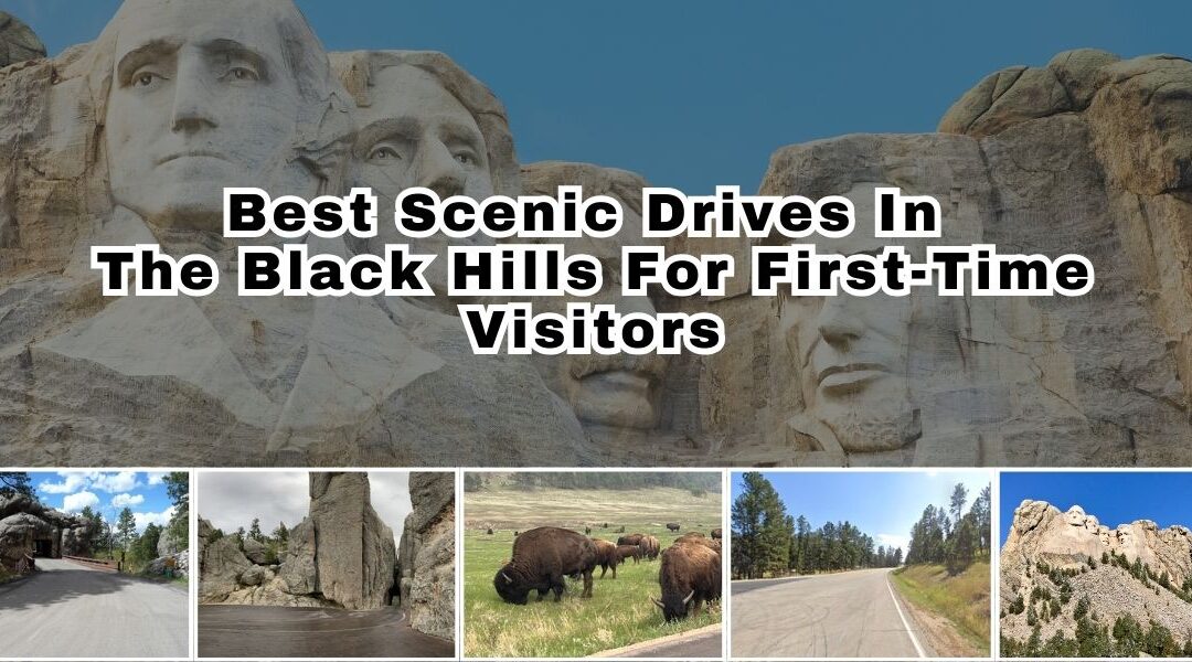 Best Scenic Drives In The Black Hills For First-Time Visitors