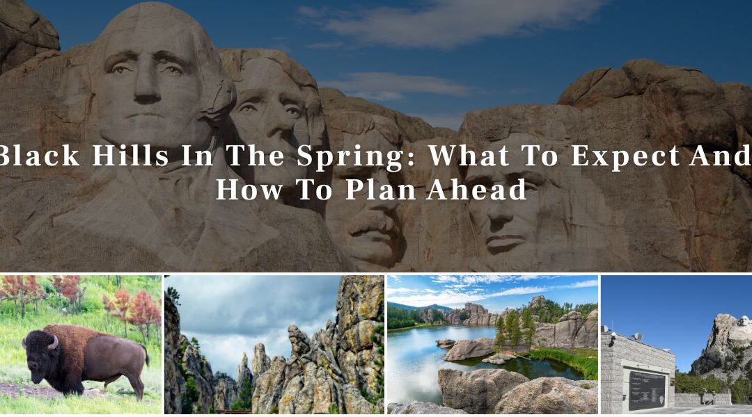 Black Hills In The Spring: What To Expect And How To Plan Ahead