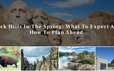 Black Hills In The Spring: What To Expect And How To Plan Ahead
