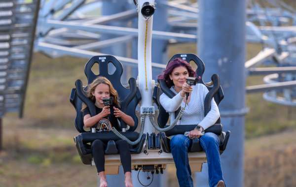 Buffalo Hunt Coaster Rapid City SD