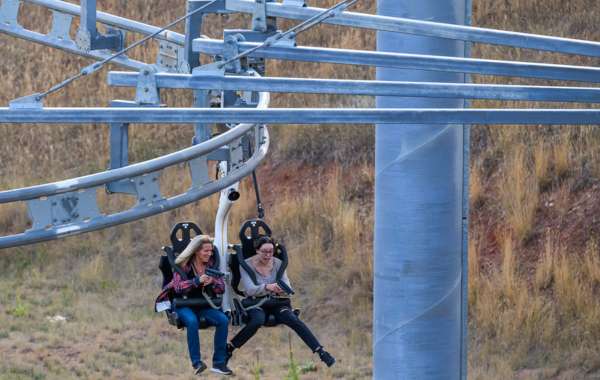 Buffalo Hunt Coaster Rapid City