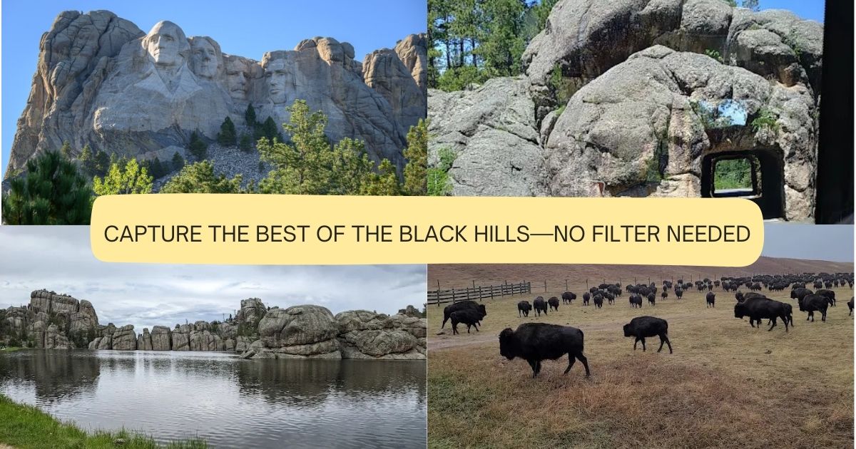 Collage Of Black Hills SD Photo Opportunities
