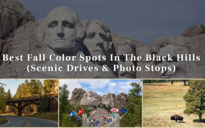 Best Fall Color Spots In The Black Hills (Scenic Drives & Photo Stops)
