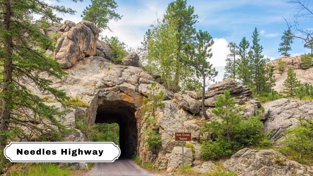 Needles Highway
