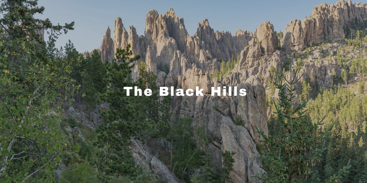 Black Hills South Dakota Mt Rushmore Tours