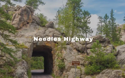 Explore Needles Highway: The Most Stunning Scenic Route in the Black Hills